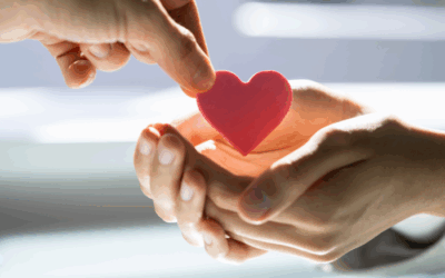 How to Observe International Day of Charity